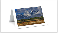 Nature Photo Card 5
